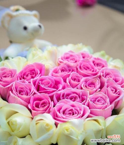 花语你是礼物是什么意思?这种花语代表了什么特别的情感?