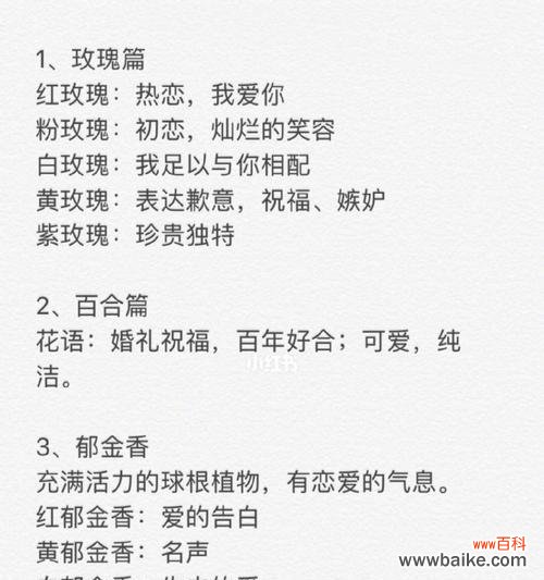 鲜花各种花材的花语有何不同？