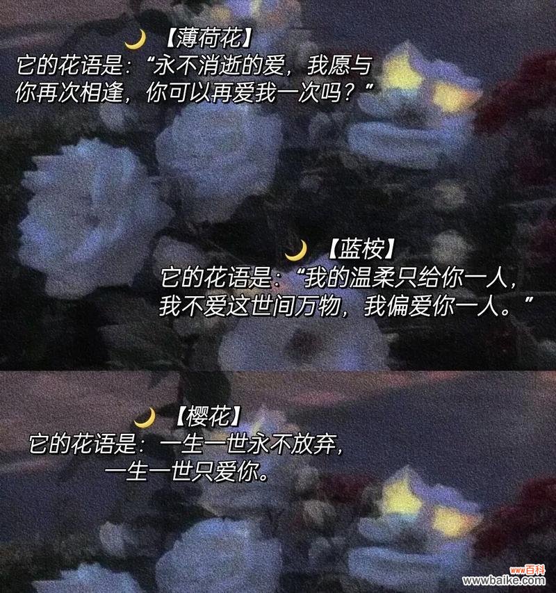 那些花语很恶毒的花是什么？哪些花在花语中带有不吉利的含义？