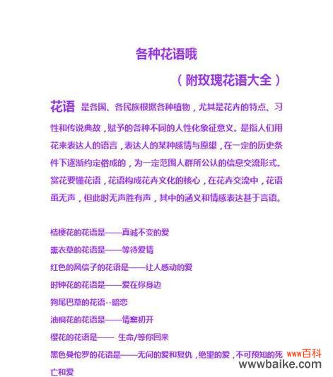 女孩送男孩玫瑰花意味着什么？花语有哪些解释？