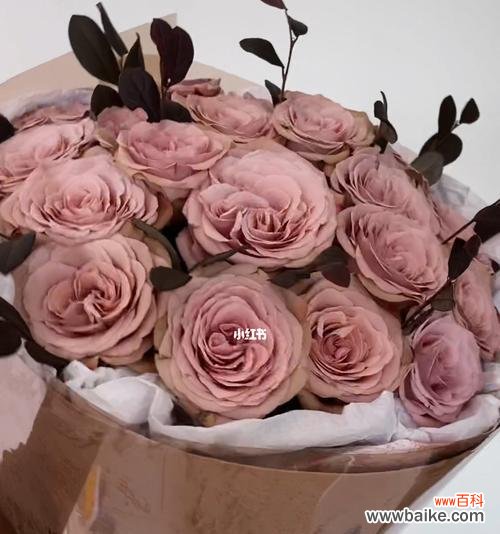 探寻卡布奇诺玫瑰的浪漫和温暖 卡布奇诺玫瑰花语寓意解读