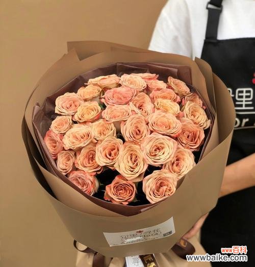 探寻卡布奇诺玫瑰的浪漫和温暖 卡布奇诺玫瑰花语寓意解读