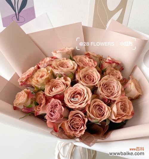 探索卡布奇诺玫瑰的深层含义,了解其花语和象征意义 卡布奇诺玫瑰的花语及其寓意