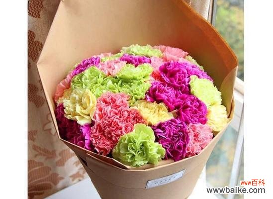 探究康乃馨在不同文化中的象征意义及其传承 康乃馨的象征意义与文化传承