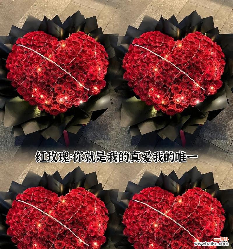 哪种花的花语是想念？送什么花表达思念之情？