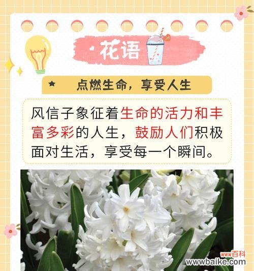 花语通常代表什么意思？它如何影响人们的交流？