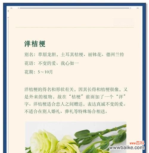 哪种花象征永恒不变的爱?