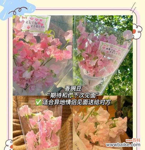 讽刺的花语有哪些？这些花语通常用在什么场合？