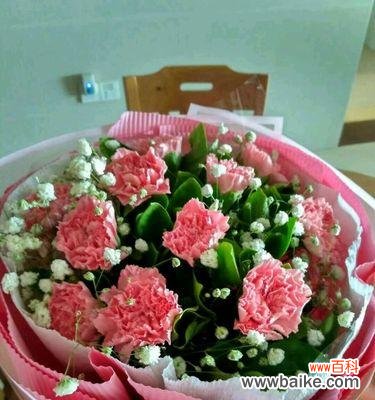 康乃馨花语的意义和象征——纯真、爱恋与感激 康乃馨花语