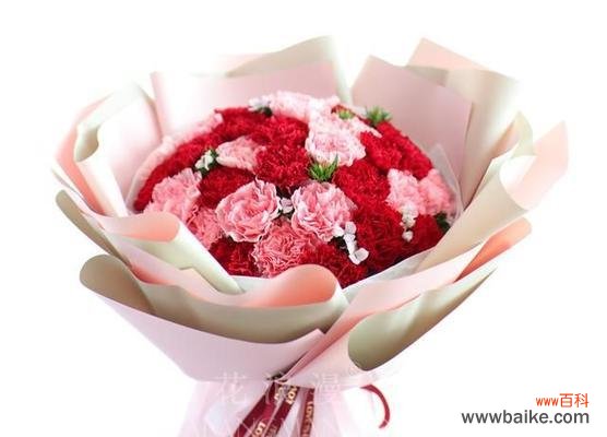 康乃馨花语传递的情感与美好 康乃馨花语与寓意