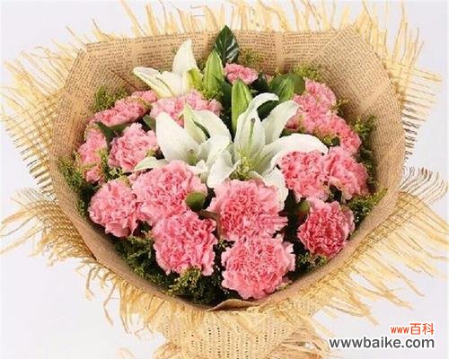 用芬芳的康乃馨诉说真挚情感 康乃馨花语之美