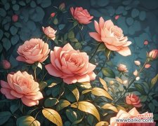 情侣拿大玫瑰花有何象征意义？它代表了什么？