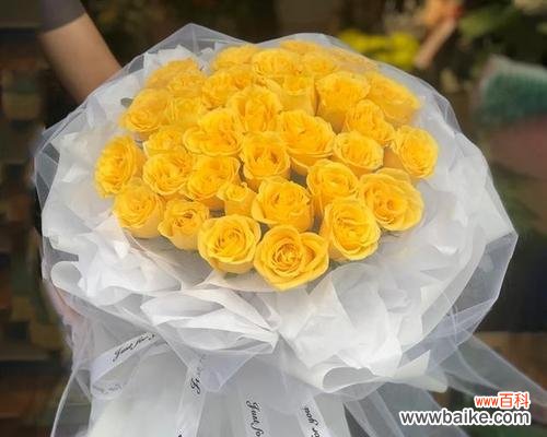 橙色带点红玫瑰代表什么花语?