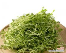 豆苗菜的花语有哪些含义？