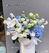 送朋友27朵玫瑰花有何特殊含义？它传递了怎样的情感？