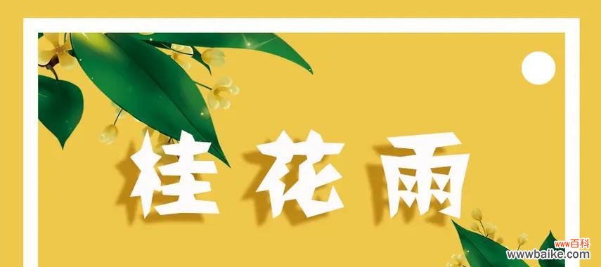 发送给别人的花语有何含义？它传达了什么信息？