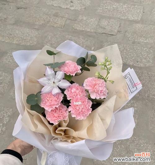 探索康乃馨花束传递的情感和意义 康乃馨花束的寓意与象征