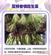 生菜的花语和象征意义是什么？生菜在花语中代表什么？