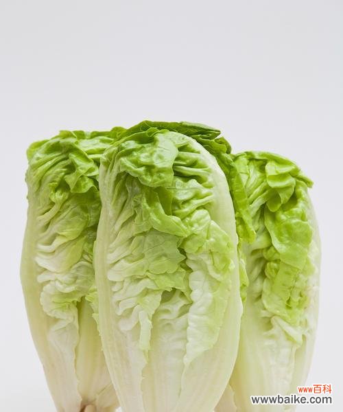 生菜的花语和象征意义是什么？生菜在花语中代表什么？