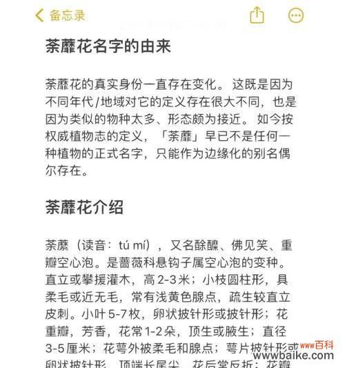 哪种花的花语寓意着开心?