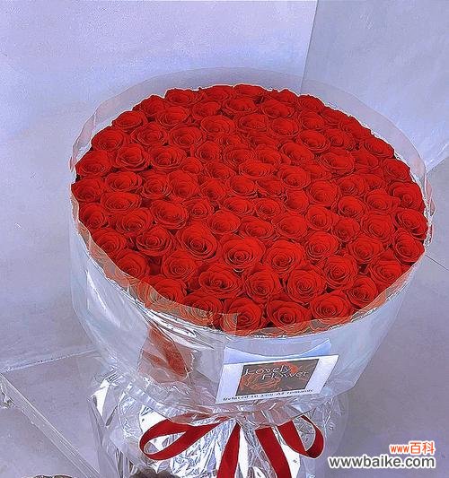 十一朵永生玫瑰代表了什么?