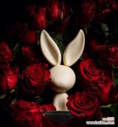 十一朵永生玫瑰代表了什么？