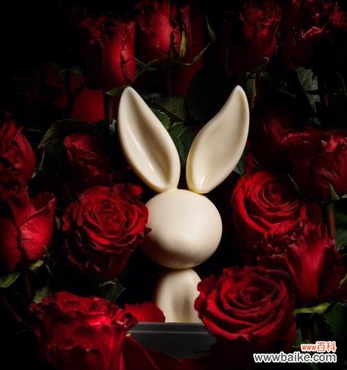 十一朵永生玫瑰代表了什么?