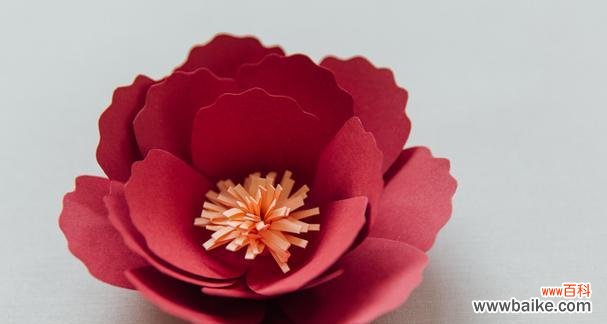 手工纸花的花语是什么?纸花在花语中象征什么?