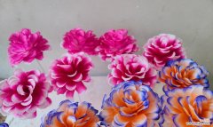 手工纸花的花语是什么？纸花在花语中象征什么？