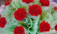 康乃馨花语的深层含义与象征 以康乃馨花语的寓意——传递爱与感恩