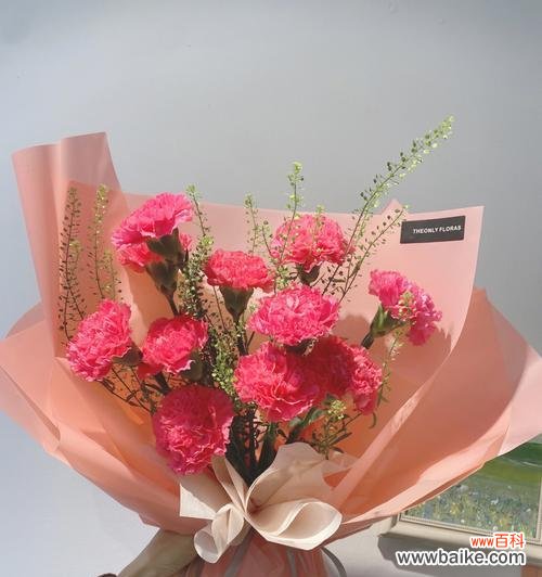 一朵朵馨香芬芳的康乃馨，传递出的不仅仅是美丽 康乃馨花语解读——每朵康乃馨的隐含意义