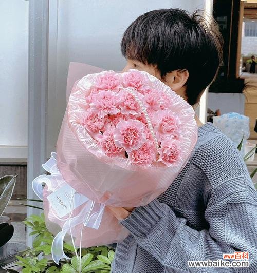 揭示康乃馨背后的深意与情感 康乃馨的花语与象征意义