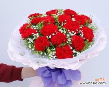 揭示康乃馨的深层含义 康乃馨