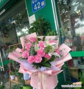 爱的力量 康乃馨之精神