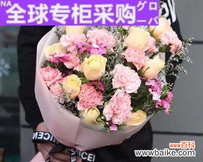 传递爱与祝福的花语 康乃馨送亲人的美好寓意