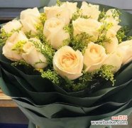 寓意高贵 以香槟玫瑰代表的意义