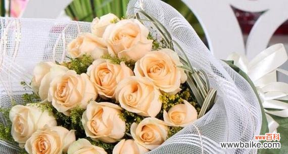 探索香槟玫瑰的内涵和意义 以香槟玫瑰代表的寓意和象征