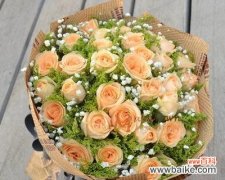 探索香槟玫瑰的美丽与深意 香槟玫瑰的含义与象征