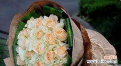 解读香槟玫瑰所代表的情感与美好 香槟玫瑰的花语与象征意义