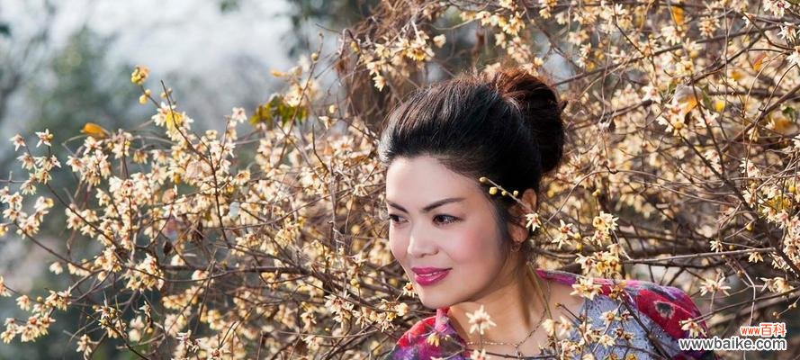 金豆植物的花语和寓意是什么?代表了什么?