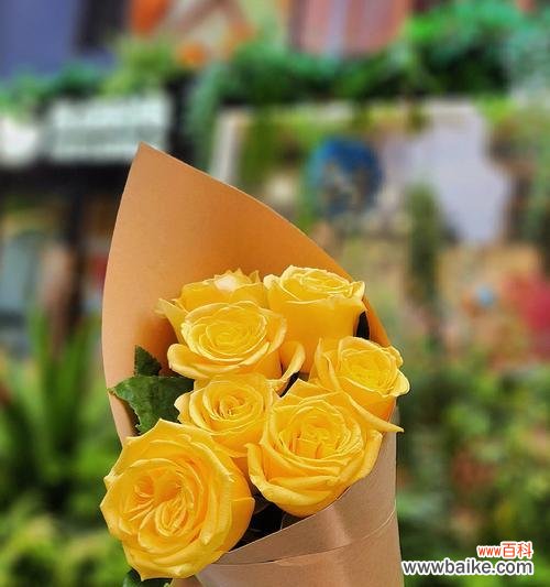 高考成人礼花束选什么花语?黄玫瑰花语是什么意思?