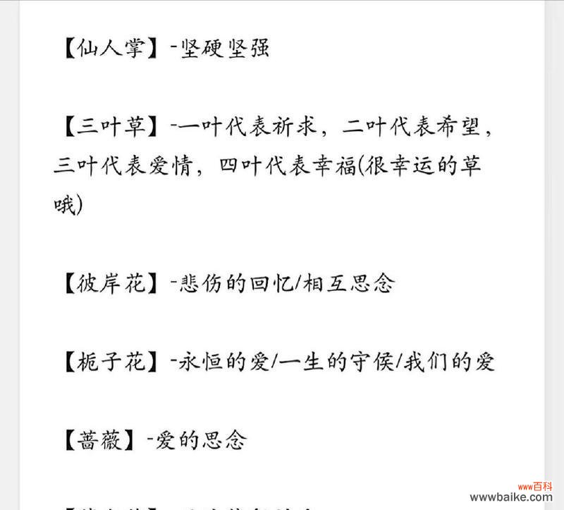 悲伤时哪种花语最能安慰人心?