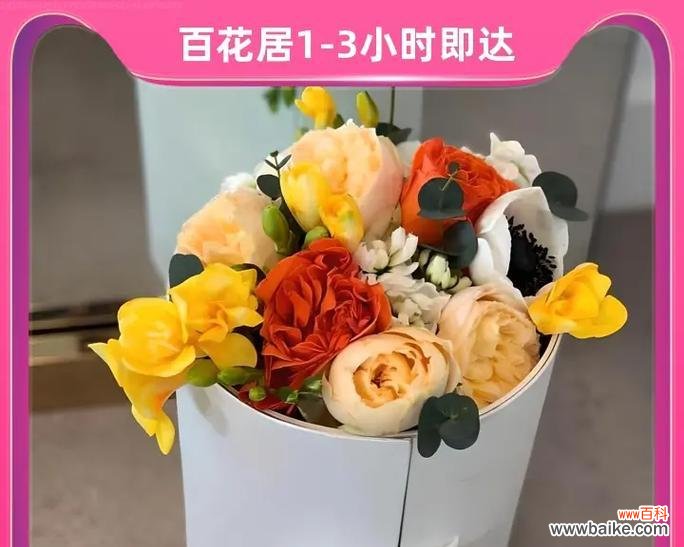 花语礼物在网络用语中是什么意思?花语礼物代表什么?