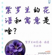 什么花语最美好？哪种花的花语最能触动人心？