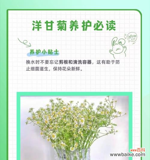 什么花语最美好?哪种花的花语最能触动人心?