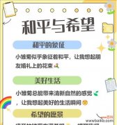 表达情感的花语有哪些？