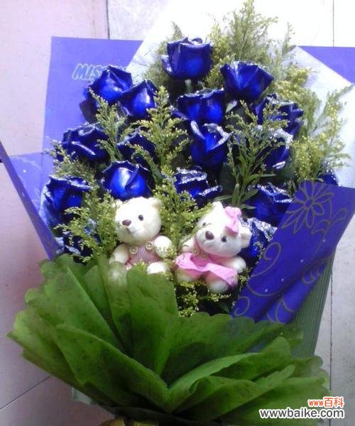 揭开蓝色妖姬的神秘面纱 《蓝色妖姬的寓意与象征》