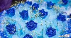 揭秘蓝色妖姬的深层寓意和花语 蓝色妖姬