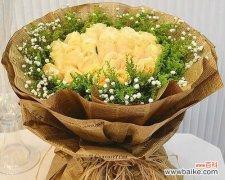 探索香槟玫瑰几朵的不同寓意 香槟玫瑰的含义及象征