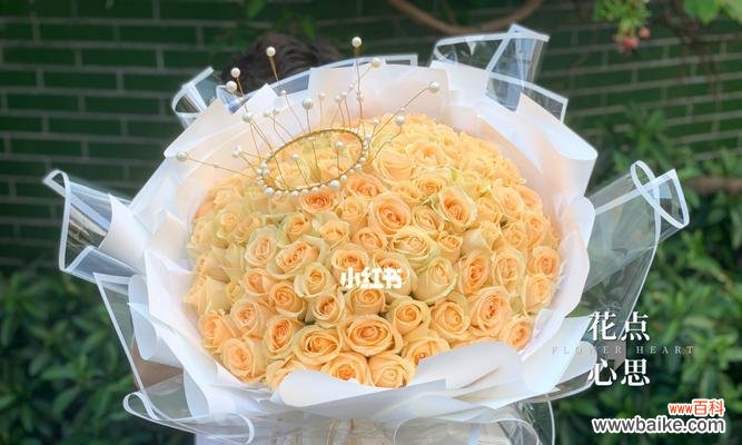 探索香槟玫瑰的浪漫与独特 香槟玫瑰的象征意义及文化影响